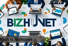 Bizhunet