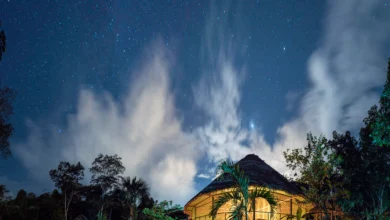 ayahuasca retreat near me