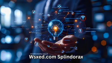 wsxed.com splindorax