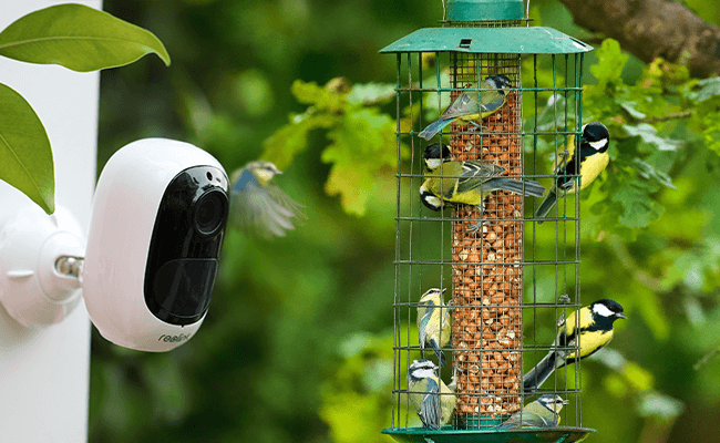 best bird feeder camera