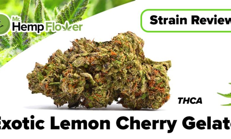 lemon cherry gelato strain