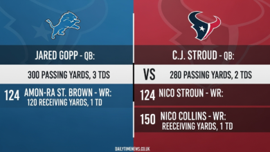 Detroit Lions vs Houston Texans Match Player Stats